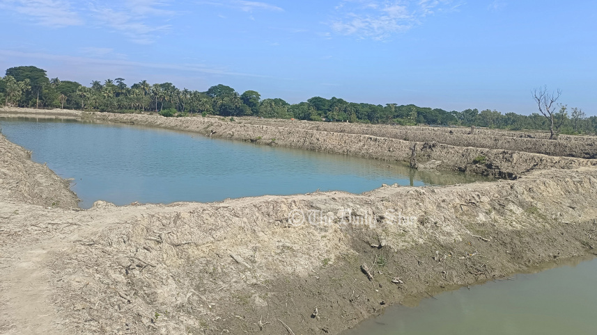 পটুয়াখালীর সংরক্ষিত বন