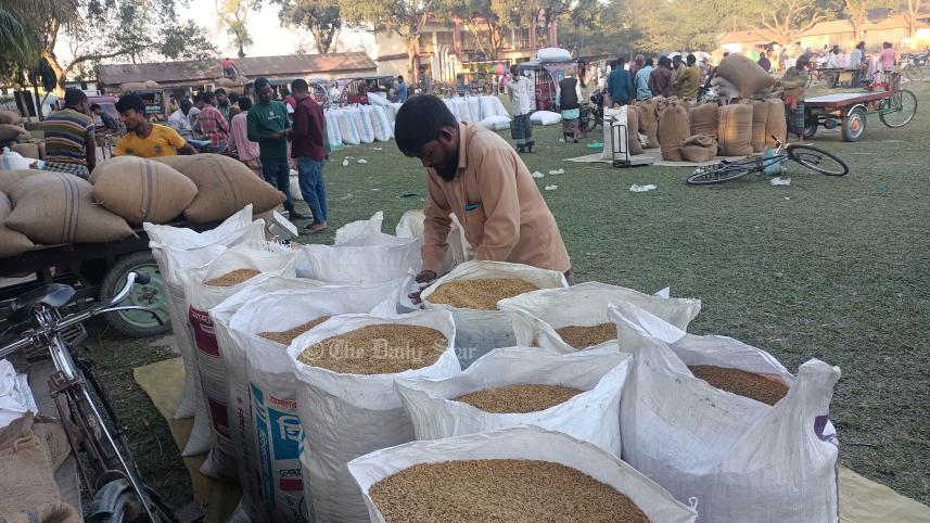 ধানের দাম