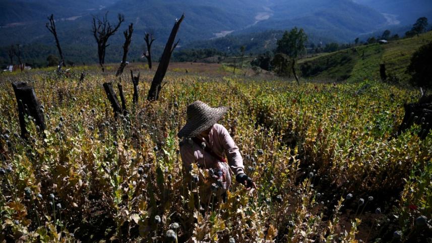 myanmar_opium.jpg