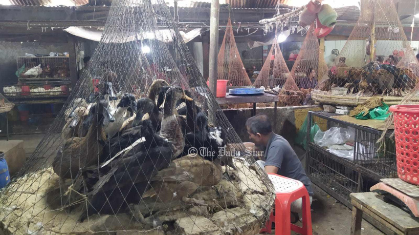 কাঁচাবাজারjpg