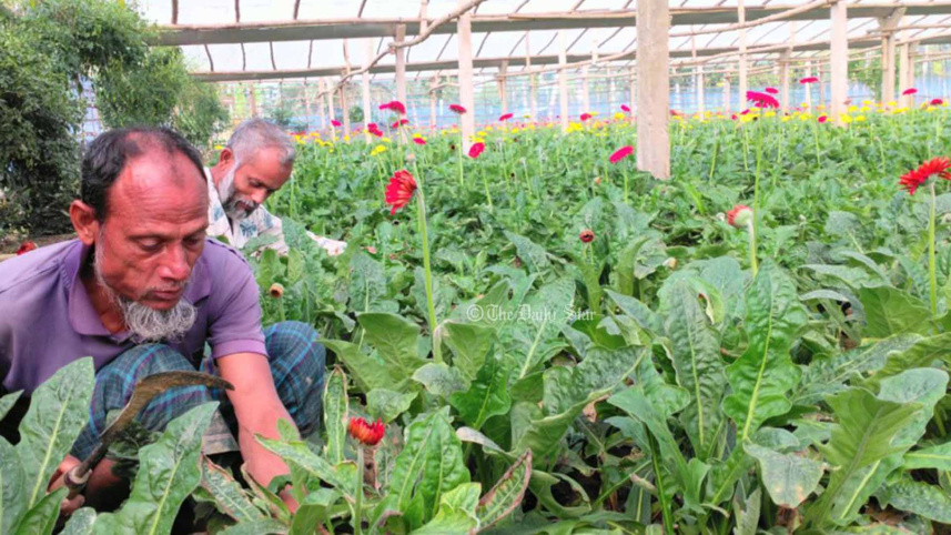 gadkhali-flower-market