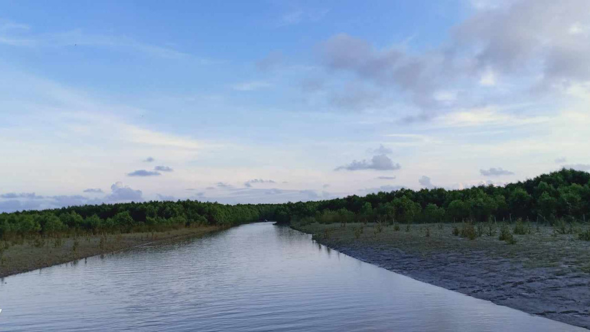 চর কুকরি-মুকরি