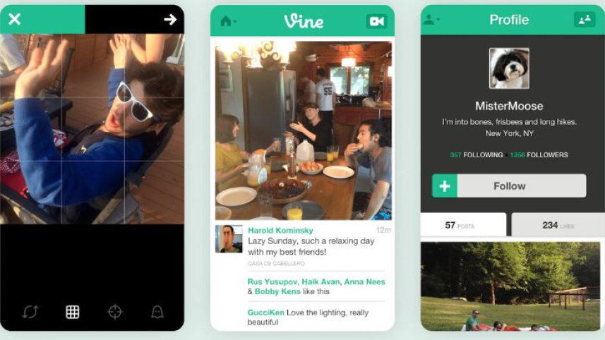 বন্ধ হওয়ার আগে এমনই ছিল ভাইনের ইন্টারফেস। ছবি: সংগৃহীত
