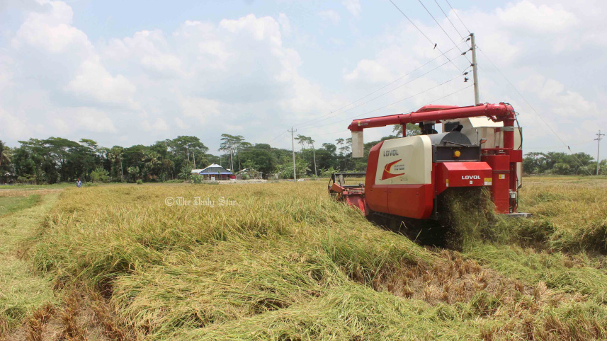 পটুয়াখালীতে ১০ বছরে কৃষিকাজ ছেড়েছে ৪০ হাজার পরিবার