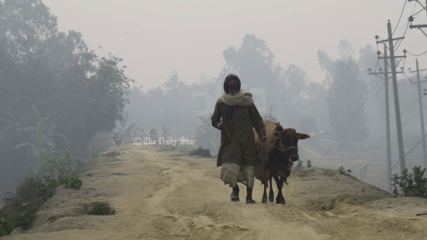 আজও দেশের সর্বনিম্ন তাপমাত্রা তেঁতুলিয়ায়, কমতে পারে রাতের তাপমাত্রা