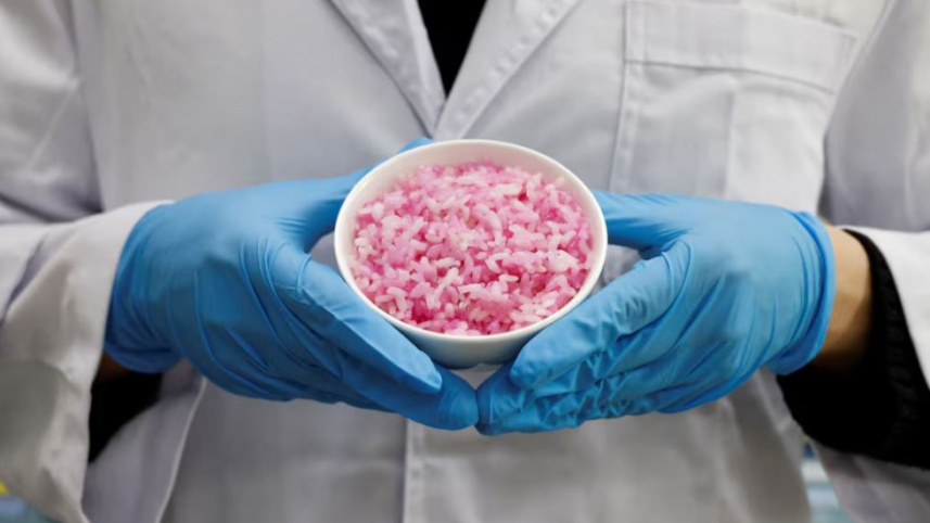 গরুর মাংসের চাল