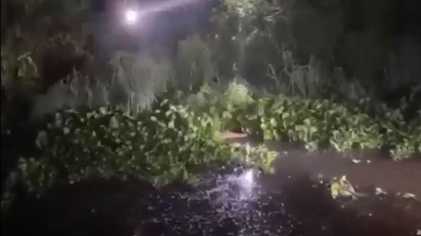 গণপিটুনি