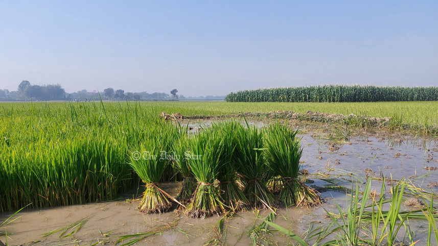 জিকে প্রকল্প