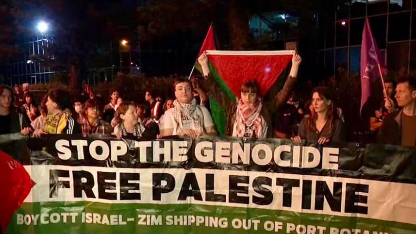 pro palestine protest in australia.jpg