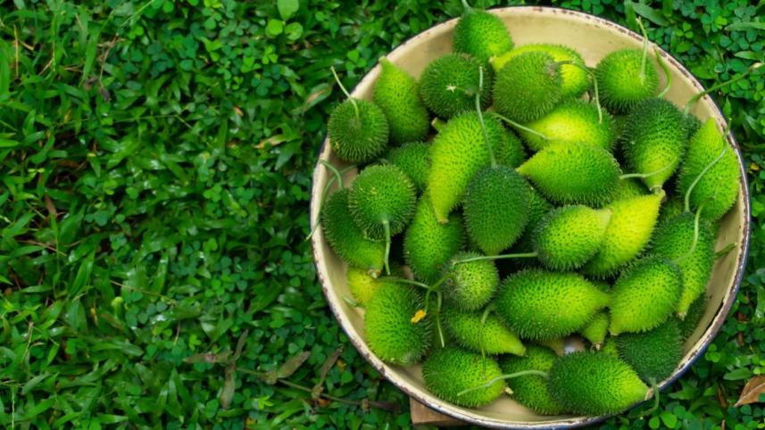 কাঁকরোল