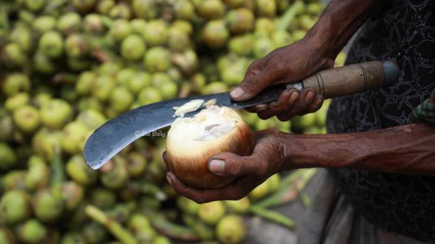 তালের শাঁসের উপকারিতা