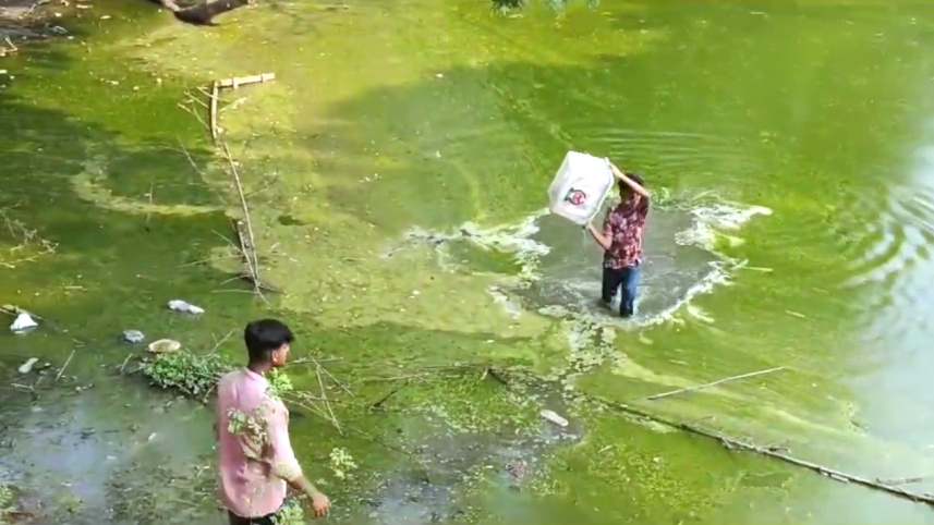 brahmanbaria_ballot_box_recovered_from_pond_pic_3.jpg