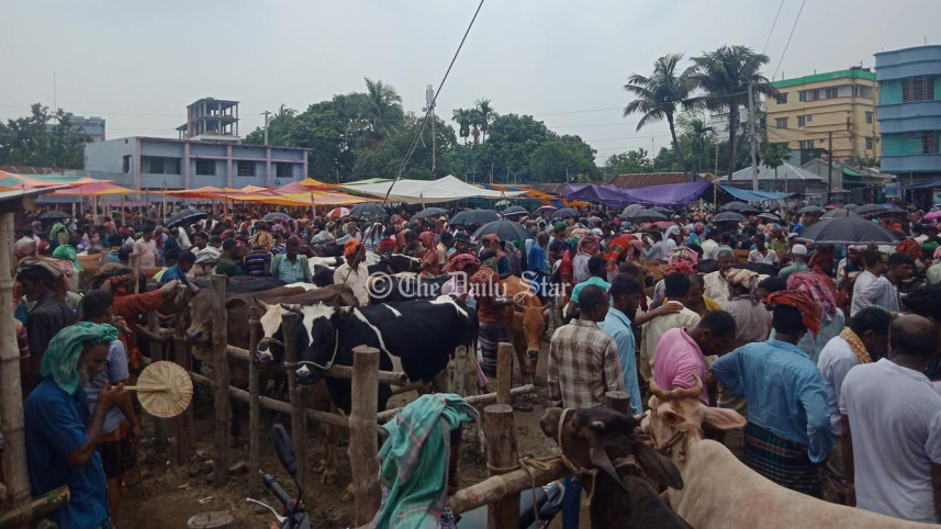 গরুর হাট