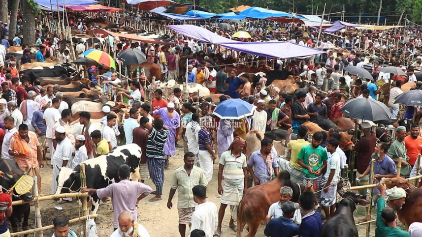 পাবনা গরুর হাট