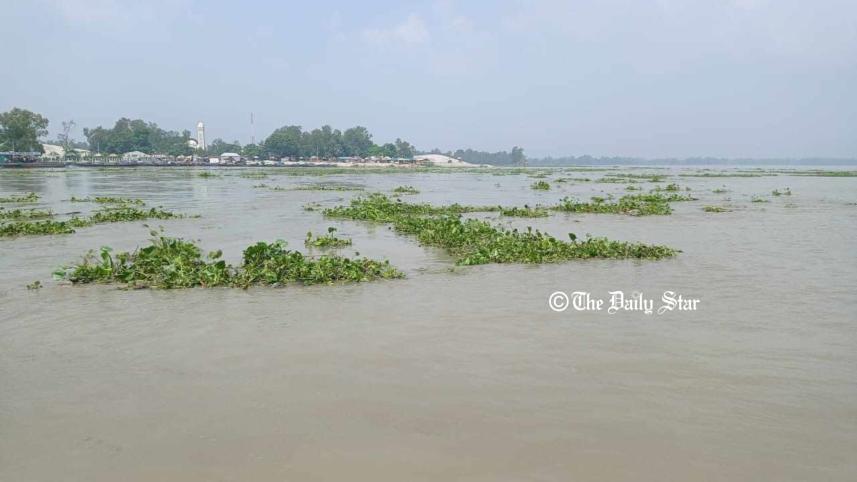 jamuna_river.jpg