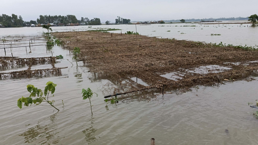 কুড়িগ্রামে বন্যা