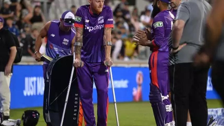 cricket.jpg