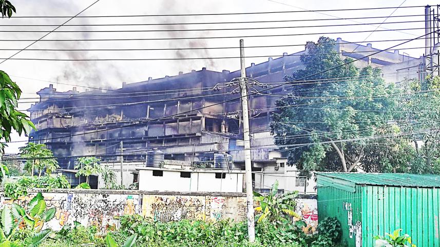 নাশকতা ও সন্ত্রাস বিমা, বিমা, শেখ হাসিনা, গণঅভ্যুত্থান,