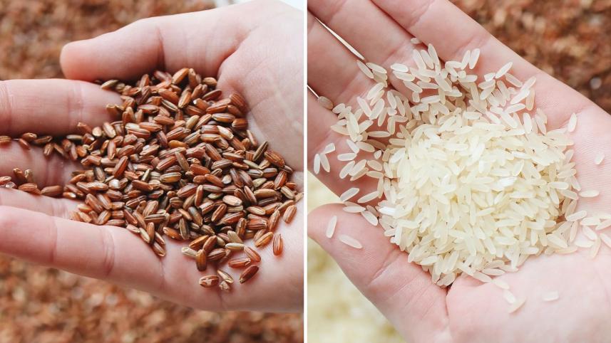 red_and_white_rice.jpg