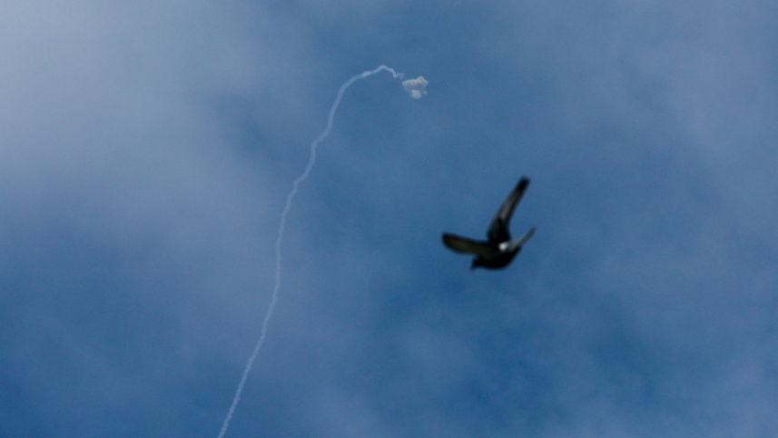 হাইফার আকাশে আয়রন ডোম হিজবুল্লাহর রকেট হামলা প্রতিহত করার মাঝে একটি মুক্ত বিহঙ্গ উড়ে যাচ্ছে। ছবি: রয়টার্স
