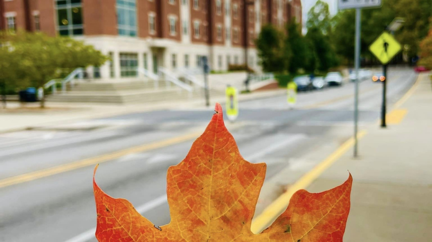 যুক্তরাষ্ট্র