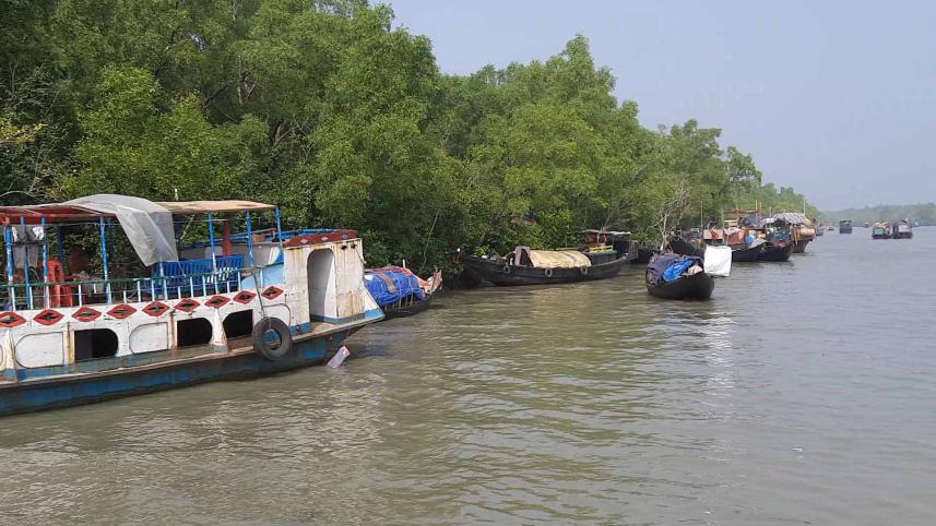 sundarbon_rash_utshob_pic_4.jpg