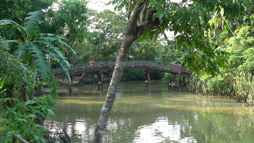 মুক্তিবাহিনী