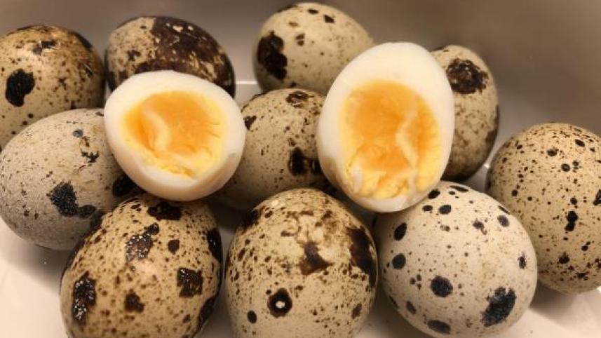 কোয়েলের ডিম