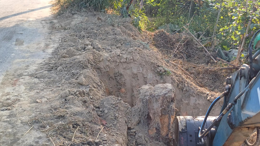 এক্সক্যাভেটর দিয়ে গাছের গুড়ি উপড়িয়ে ফেলা হয়েছে। ছবি: মংসিংহাই মারমা/স্টার