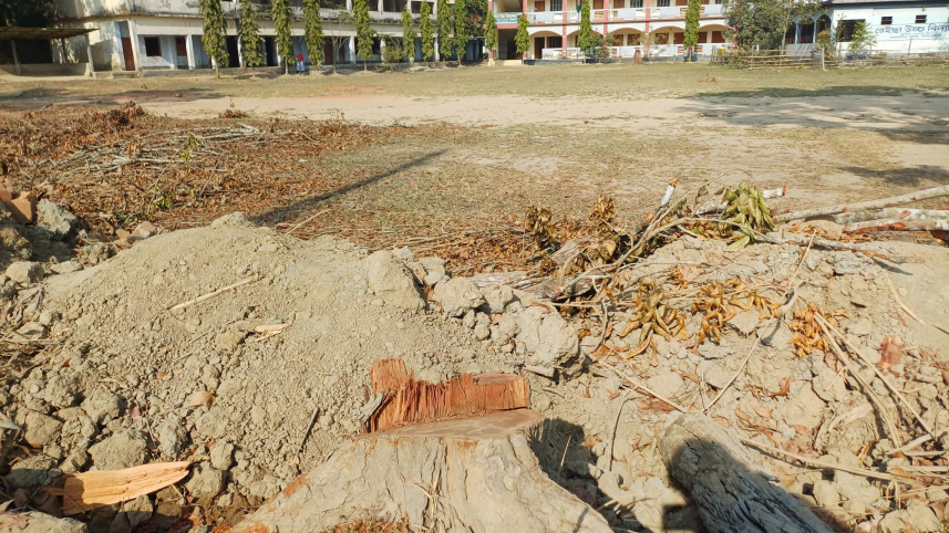 রাস্তার পাশে পড়ে থাকা গাছ ও গুড়ি। ছবি: মংসিংহাই মারমা/স্টার