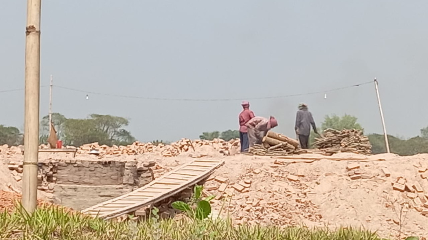 ইটভাটায় প্রধান জ্বালানি হিসেবে কয়লা ব্যবহারের নিয়ম থাকলেও বাস্তবে বেশিরভাগ ভাটায় ব্যবহার হচ্ছে কাঠ। ছবি: জাহিদ হোসেন/স্টার