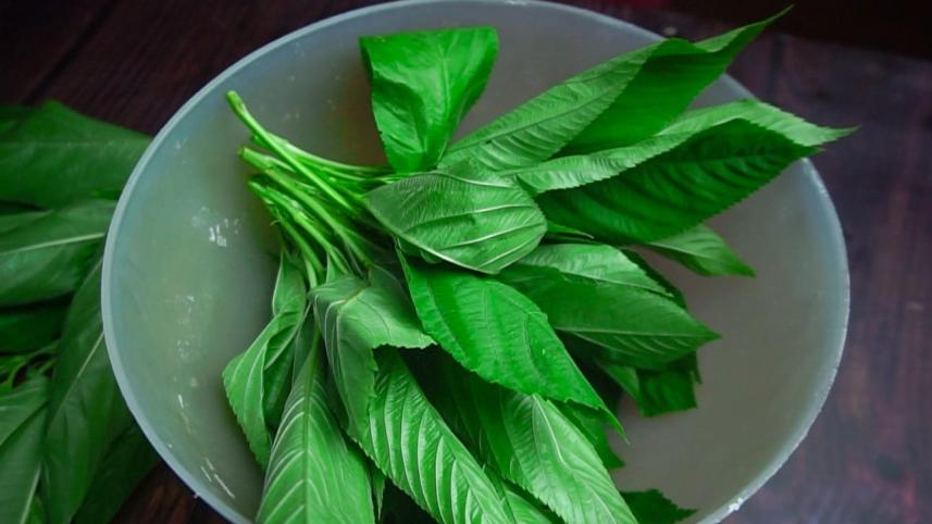 পাটশাক রেসিপি