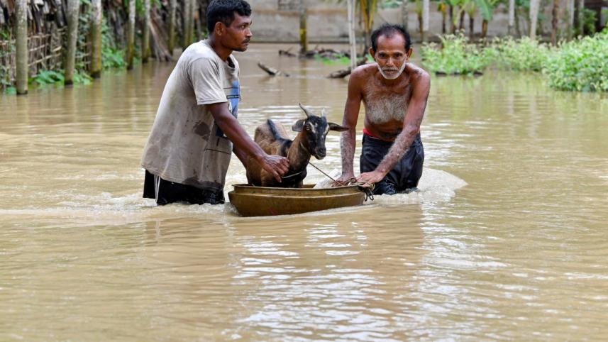 আসামের একটি গ্রামে বন্যাকবলিত এলাকায় প্রাণরক্ষার চেষ্টায় দুই ব্যক্তি ও তাদের পোষা ছাগল। ছবি: এএফপি (১ জুন, ২০২৫)