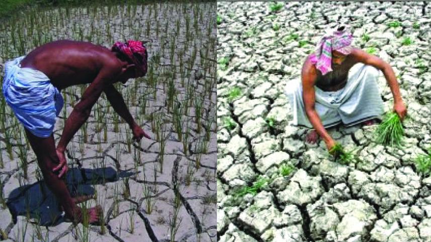 drought2-01.jpg