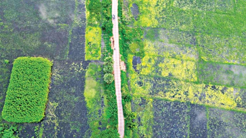 সিন্দুরিয়া