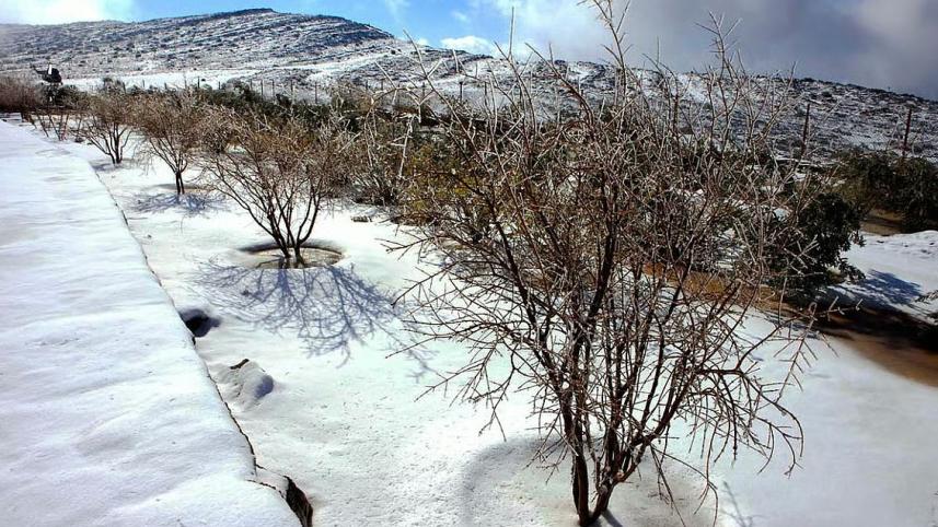 ২০০৯ সালের ২৪ জানুয়ারি সংযুক্ত আরব আমিরাতের রাস আল খাইমার জেবেল জাইস অঞ্চল বরফে ঢেকে যায়। ফাইল ছবি: এএফপি 