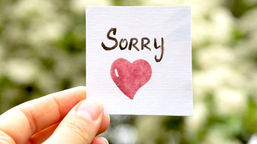 কেন ‘স্যরি’ বলা জরুরি