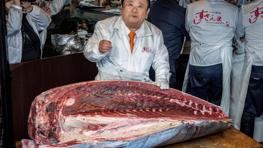 টুনা থেকে সুশি তৈরি করে বিক্রি করবেন কিমুরা। ছবি: এএফপি