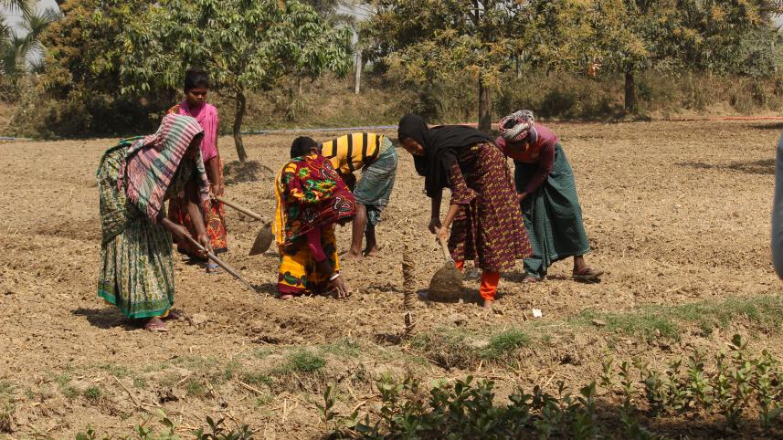 Chapainawabganj-2.jpg