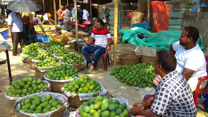 Chapainawabganj mango