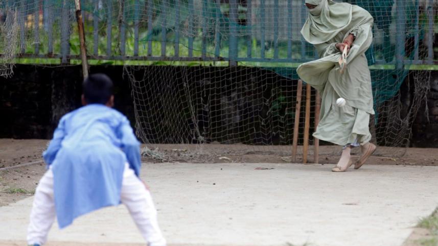 cricket-2.jpg