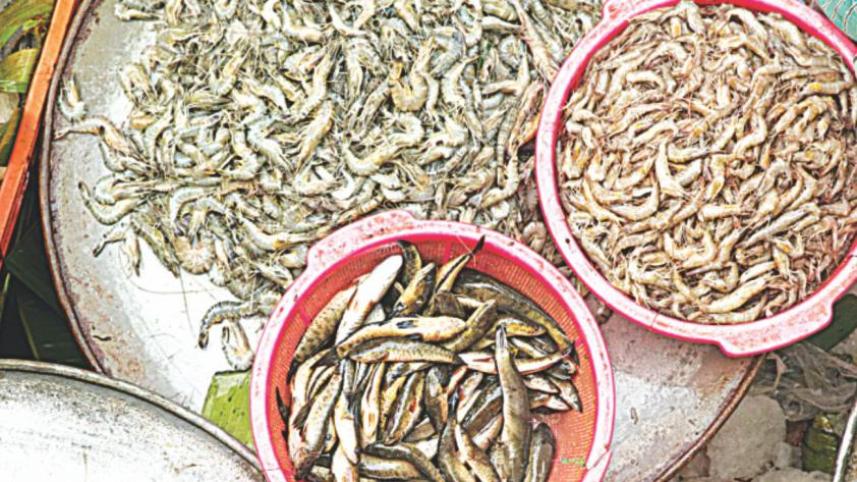 fish_fanatics_day_out_09 (1).jpg