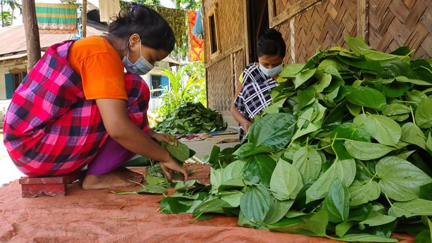 Moulvibazar tale of corona free 90 Indigenous villages pic (9).jpg