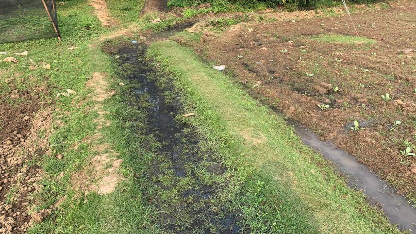 Polluted water-1.jpg