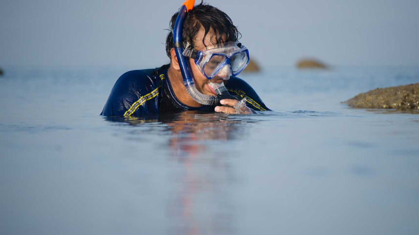 Snorkelling at saintmartin
