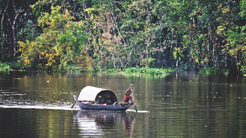 sundarbans_02.jpg