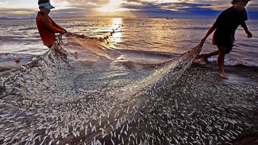 Celebrating Life-2011