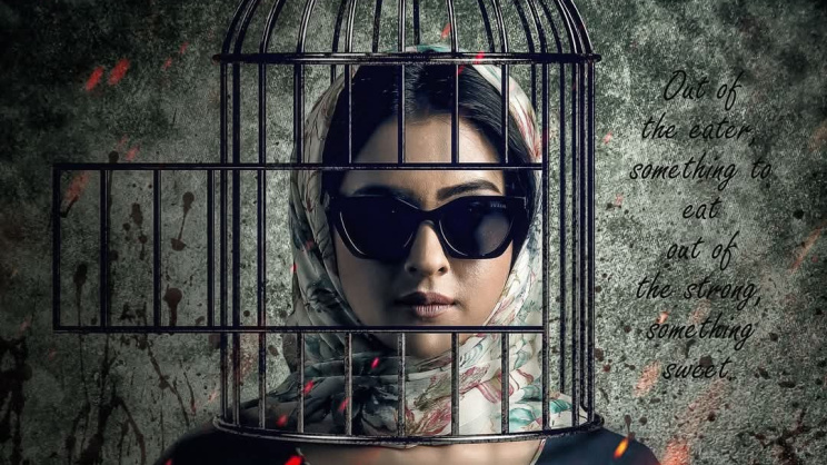 পিনিক সিনেমার পোষ্টার। ছবি: সংগৃহীত