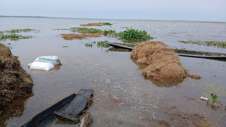 বন্যার কারণে হবিগঞ্জের নিচু এলাকার ফসল রক্ষা করা যায়নি। ছবি: স্টার