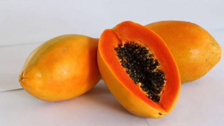 Papaya